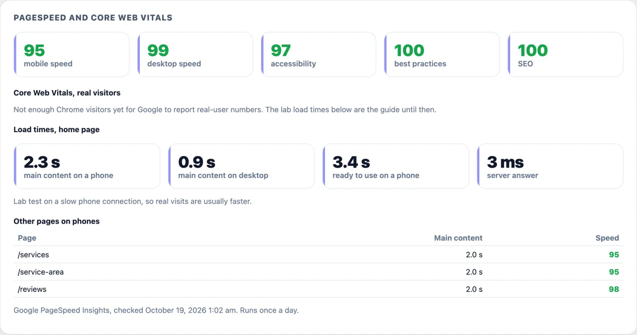 The PageSpeed and Core Web Vitals card inside the Rank Any Site WordPress plugin, showing a mobile speed of 95, desktop 99, accessibility 97, best practices 100 and SEO 100